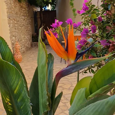 El Jardin Secreto * Oria